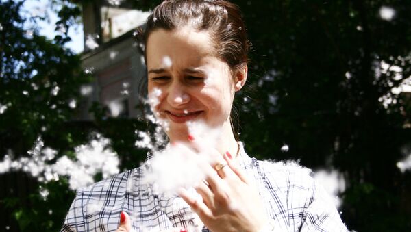 El florecimiento del álamos, Moscú - Sputnik Mundo