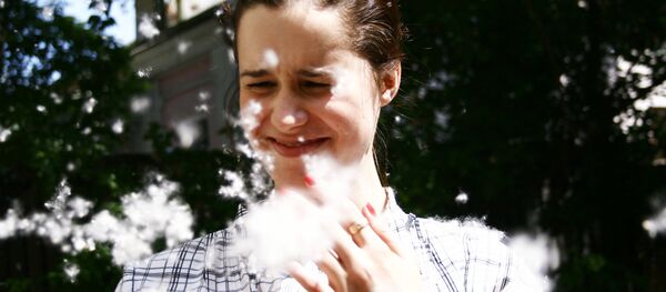 El florecimiento del álamos, Moscú - Sputnik Mundo