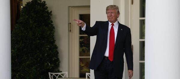 Donald Trump, presidente de EEUU - Sputnik Mundo