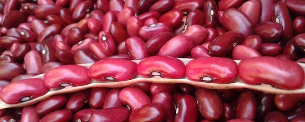 Frijoles (imagen referencial) - Sputnik Mundo