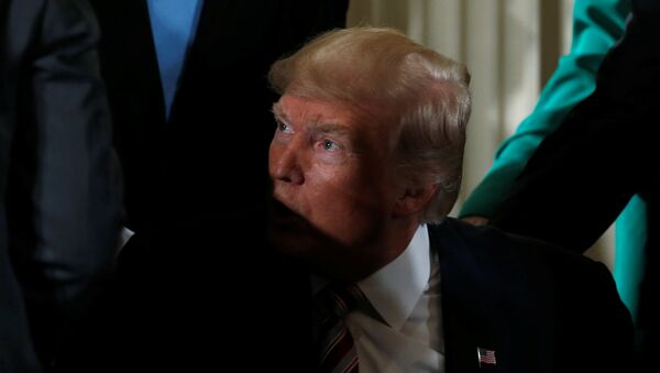 Donald Trump, presidente de EEUU - Sputnik Mundo