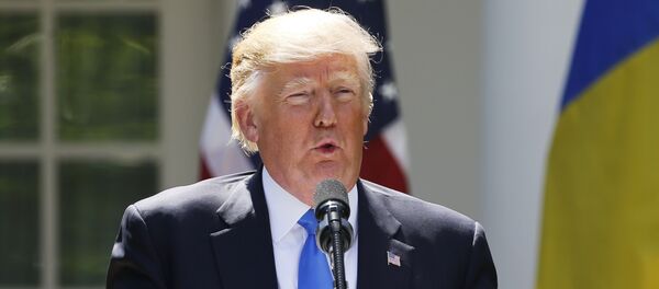 Donald Trump, presidente de EEUU Donald Trump, presidente de EEUU - Sputnik Mundo