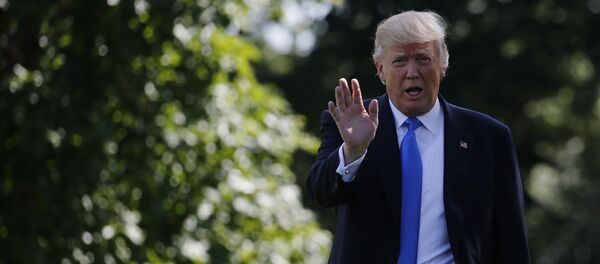 Donald Trump, presidente de EEUU - Sputnik Mundo