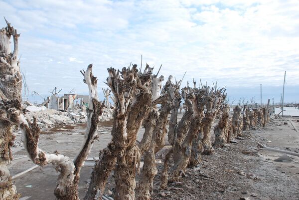 Villa Epecuén, el pueblo inundado - Sputnik Mundo