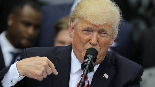 Donald Trump, presidente de EEUU Donald Trump, presidente de EEUU - Sputnik Mundo