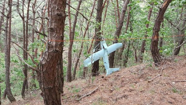 Dron espía norcoreano Dron espía norcoreano - Sputnik Mundo