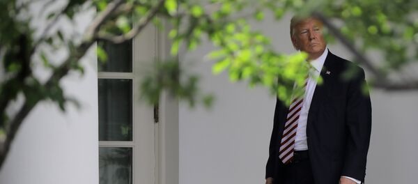 Donald Trump, presidente de EEUU - Sputnik Mundo