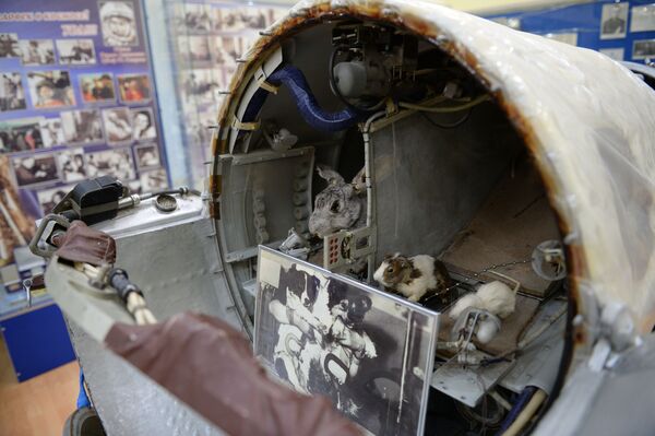 La historia del primer puerto espacial de la Tierra, en el museo de Baikonur - Sputnik Mundo