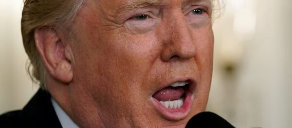 Donald Trump, presidente de EEUU - Sputnik Mundo