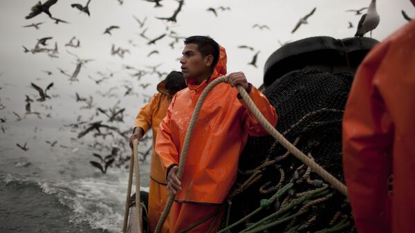 Pescadores (imagen referencial) - Sputnik Mundo