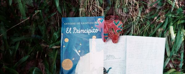 El Principito - Sputnik Mundo