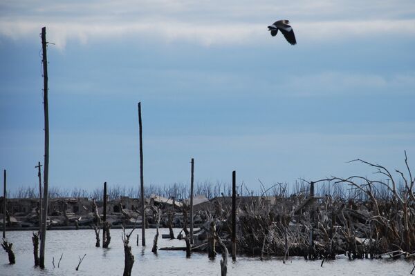 Epecuén, el pueblo inundado - Sputnik Mundo