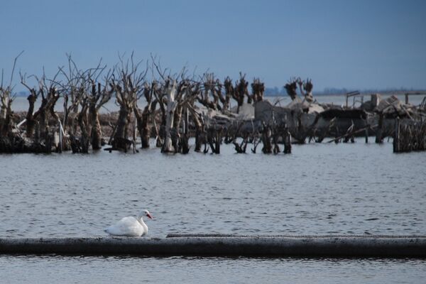 Epecuén, el pueblo inundado - Sputnik Mundo
