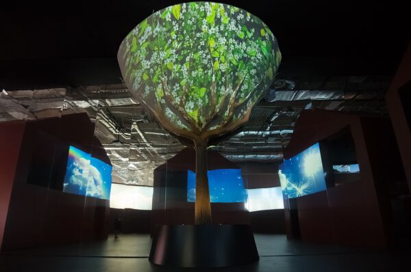 El árbol simboliza la necesidad de buscar soluciones sostenibles y responsables para el desarrollo humano - Sputnik Mundo