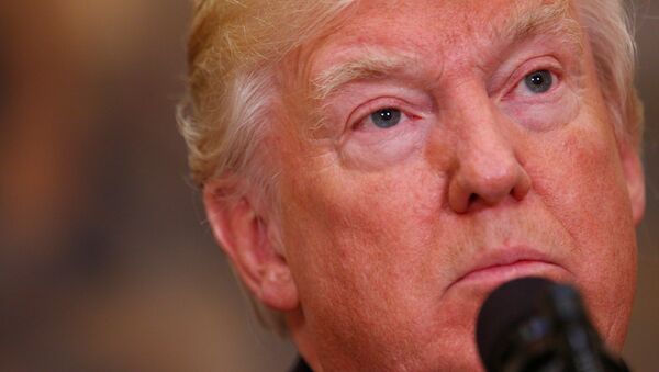Donald Trump, presidente de EEUU - Sputnik Mundo