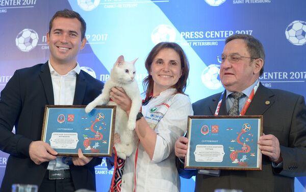 El gato Aquiles, uno de los felinos del museo del Hermitage en San Petersburgo - Sputnik Mundo