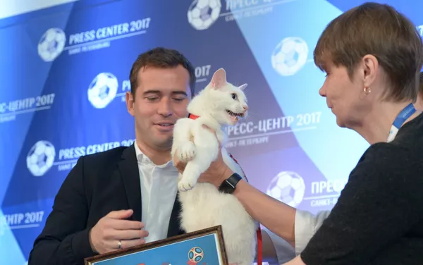 El gato Aquiles, uno de los felinos del museo del Hermitage en San Petersburgo - Sputnik Mundo