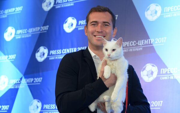 El gato Aquiles, uno de los felinos del museo del Hermitage en San Petersburgo - Sputnik Mundo