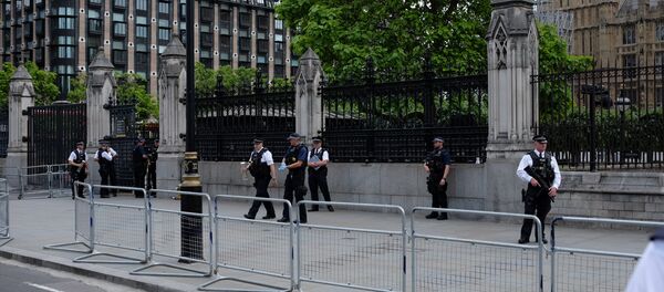 Detención de un hombre armado cerca del Parlamento del Reino Unido - Sputnik Mundo