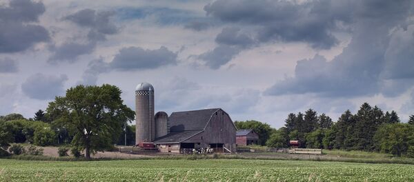 Una granja (imagen referencial) - Sputnik Mundo