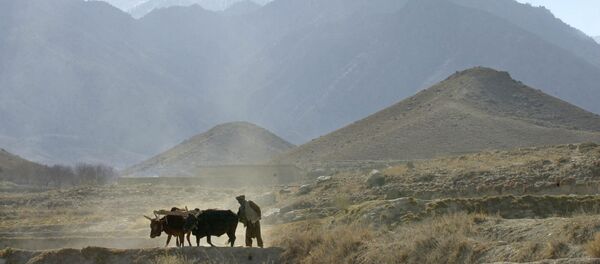 Tora Bora, Afganistán (archivo) - Sputnik Mundo