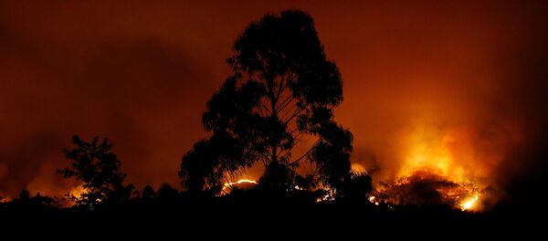 A forest fire is seen near Tojeira, Pedrogao Grande, in central Portugal, June 18, 2017. REUTERS/Rafael Marchante - Sputnik Mundo
