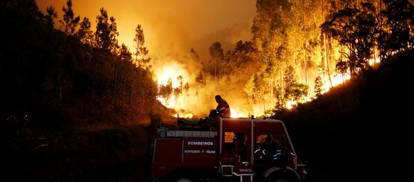 Incendio en Portugal - Sputnik Mundo
