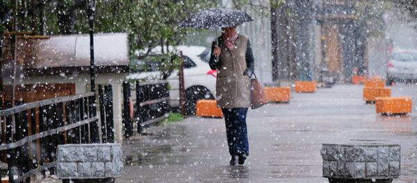 Nevada en Moscú, mayo 2017 - Sputnik Mundo
