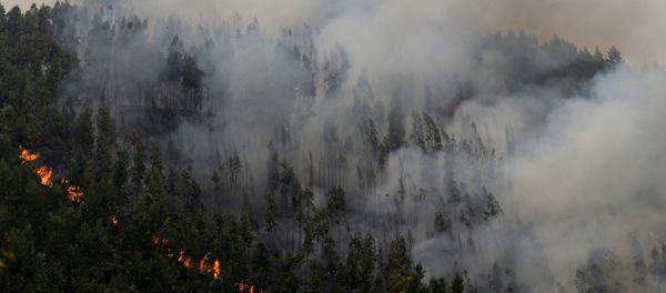 Incendio forestal cerca de Pedrógao Grande, en Portugal Incendio forestal cerca de Pedrógao Grande, en Portugal - Sputnik Mundo