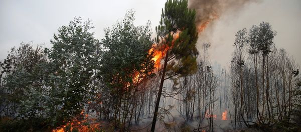 Incendio forestal en Portugal Incendio forestal en Portugal - Sputnik Mundo
