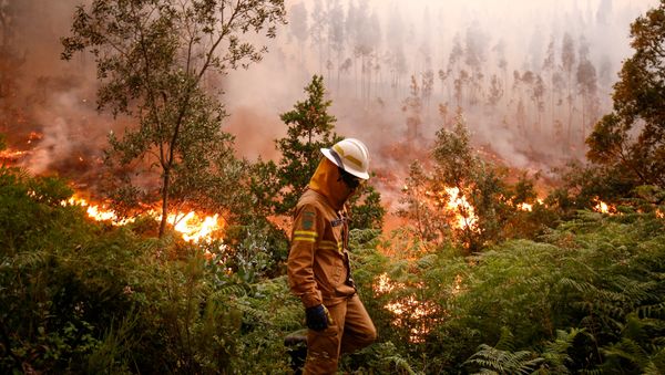 Incendio forestal en Portugal Incendio forestal en Portugal - Sputnik Mundo