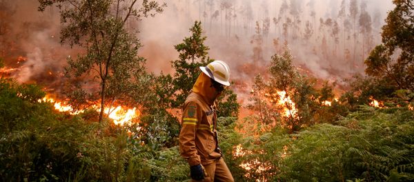 Incendio forestal en Portugal - Sputnik Mundo