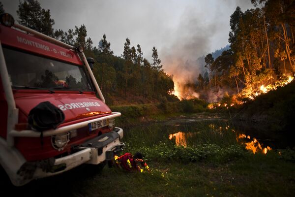 Portugal en llamas: duelo nacional por las víctimas de los incendios forestales - Sputnik Mundo