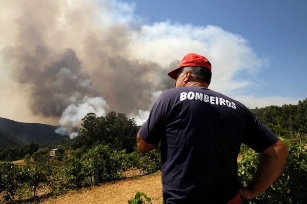 Portugal en llamas: duelo nacional por las víctimas de los incendios forestales - Sputnik Mundo