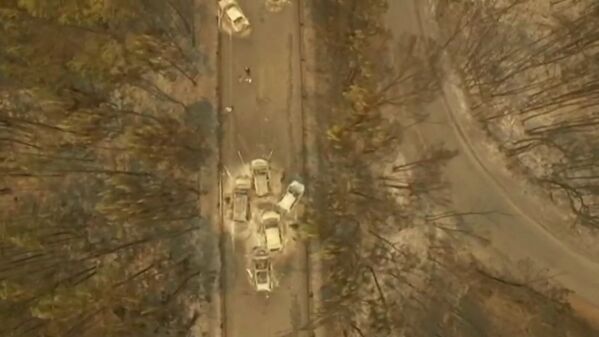 Portugal en llamas: duelo nacional por las víctimas de los incendios forestales - Sputnik Mundo