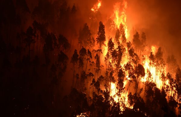 Portugal en llamas: duelo nacional por las víctimas de los incendios forestales - Sputnik Mundo
