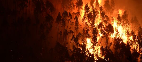 Portugal en llamas: duelo nacional por las víctimas de los incendios forestales - Sputnik Mundo