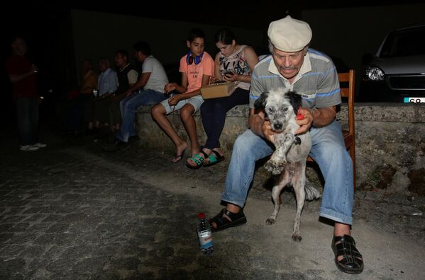 Portugal en llamas: duelo nacional por las víctimas de los incendios forestales - Sputnik Mundo