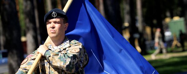 Bandera de la OTAN - Sputnik Mundo