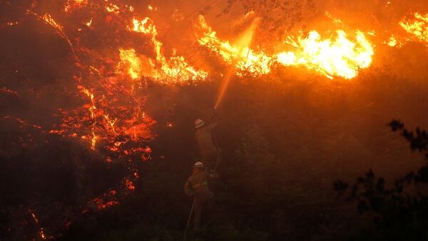 Incendio forestal en Portugal - Sputnik Mundo