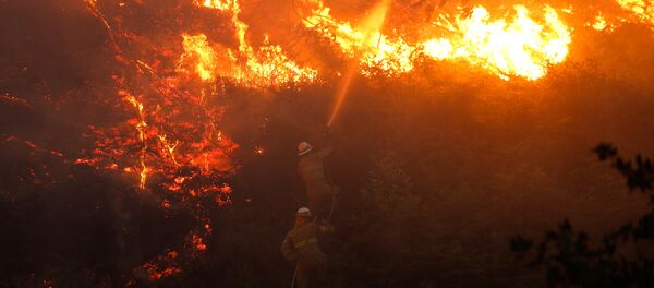 Incendio forestal - Sputnik Mundo