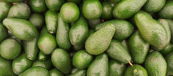 Aguacate - Sputnik Mundo