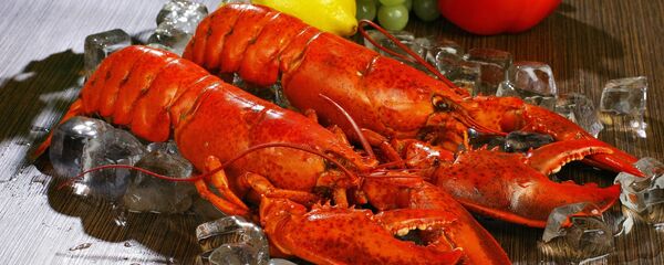 Langostas - Sputnik Mundo