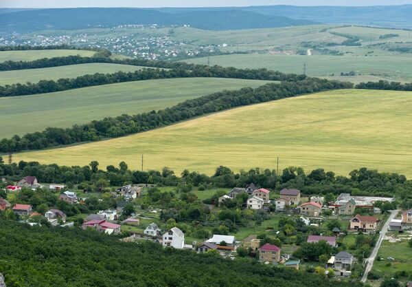 'La Provenza de Crimea': el inolvidable espectáculo del florecimiento de la lavanda - Sputnik Mundo