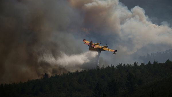 Un avión combate el incendio de Portugal Un avión combate el incendio de Portugal - Sputnik Mundo