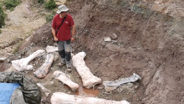 Excavación cercana a Morella, España - Sputnik Mundo