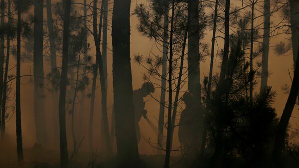 Incendio forestal (imagen referencial) - Sputnik Mundo