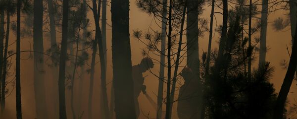 Incendio forestal (imagen referencial) - Sputnik Mundo
