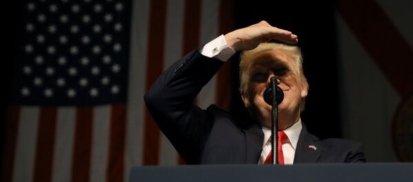 Donald Trump, presidente de EEUU - Sputnik Mundo