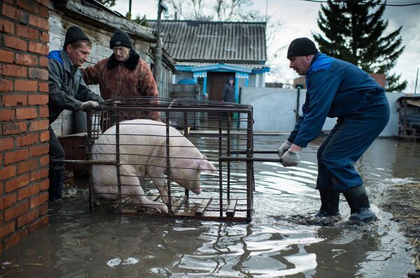 Работа российского фотографа Алексея Мальгавко из серии Весенний паводок - Sputnik Mundo